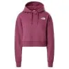The North Face Trend Crop Hooodie W